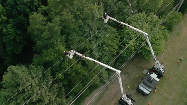 Leaf Removal in Ardsley, NY